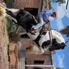 Brian Aguado Tovar - @brianaguado - TikTok