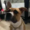 Brian Aguilar - @brian.aguilar16 - TikTok