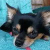brianahlfeld956 - @brianahlfeld956 - TikTok