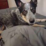 Brian Ahlfeld - @brianahlfeld - Instagram