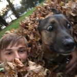 Brian Logan Luke Aikens - @brianthebddog - Instagram