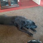 Brian Ainslie - @brian.ainslie.31 - Instagram
