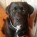 Brian Ainslie - Facebook
