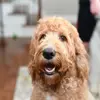 brianakers731 - @brianakers731 - TikTok