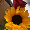 Brianakiefe - @brianakiefe - TikTok