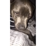 yo - @brianakingpriv - Instagram