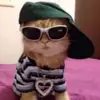 bri - @.brianal - TikTok