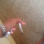 brian rowe romero - @brian_alameda01 - Instagram