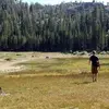 Brian Alan - @brian.alan8 - TikTok