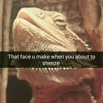 Brian Alatorre - @brian.alatorre.39 - Instagram
