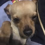 Brian Rodríguez Alberto - @brian.alberto.16144 - Instagram
