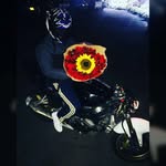 Brian Albiter - @brian_albiter - Instagram