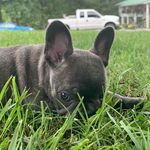 brian albright - @albright6892 - Instagram