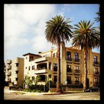 Brian Alcorn - @pagesho - Instagram