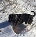Bryan Alderfer - Facebook