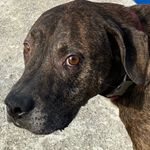 Brian Alderman - @brian__alderman - Instagram