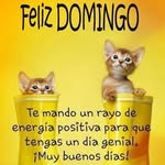 Brian Mam - @aliotoohmansilla - Instagram