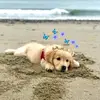 briana_lito - @brianalito - TikTok