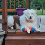 Curtis Brian Alleman - @curtisalleman - Instagram