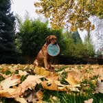 Brian Alles - @brian._.alles - Instagram