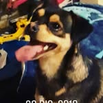 brianalmaraz - @trippie_redd87 - Instagram