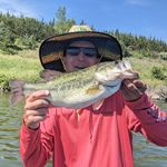 Brian Alspaugh - @brianalspaugh - Instagram
