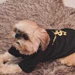 Brian Dalton - @brian_dalton_6 - Instagram