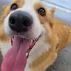 Brian Anders - @brian.anders1 - TikTok