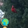 Brian Ankney - @brian.ankney4 - TikTok