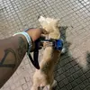 Brian - @brian_antolinez - TikTok