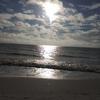 brianarsenault61 - @duval904jacksonville - TikTok