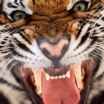 Brian Asbury - @b_ray_mizzou - Instagram