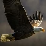 Brian Ashbaugh Sr. - @sr.brianashbaugh - Instagram