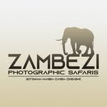 Brian Ashby - @zambeziphotosafaris - Instagram
