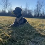 Bryan Ashby - Facebook
