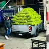 Brian Avalos - @brian.avalos44 - TikTok