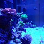 Brian Baier - @baier.brian - Instagram