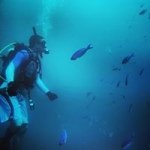 Brian Bales - @brbales - Instagram