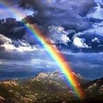 Brian Bales - @brianbales801 - Instagram