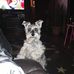 Bryan Ballou - Facebook