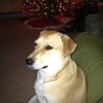 Brian Bannon - @b.bannon - Instagram