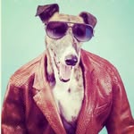 Brian Bao - @uncledog0105 - Instagram