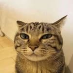 BrianBao - @brianbao14 - Instagram