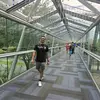 Brian barrera - @bryan.barrera3 - TikTok