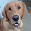 brianbates64 - @brianbates64 - TikTok