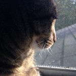 Brian Baughman - @ayyyyy_its_brian - Instagram