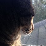 Brian Baughman - @briannn224 - Instagram