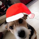 Brian Baughman - @blbaughman - Instagram
