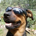 Brian Baughman - @brianb.585 - Instagram