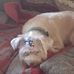 Brian Baughman - Facebook